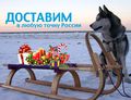 Доставим заказ Доставим заказ