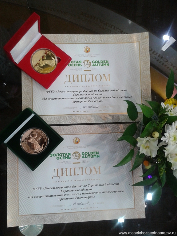 Участие в выставке Золотая Осень 2016 г. Участие в выставке Золотая Осень 2016 г.