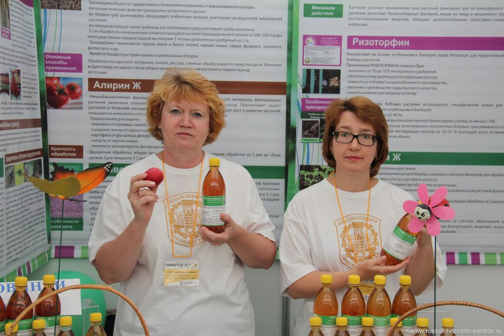 Форум Саратов Магазины Официальный Сайт