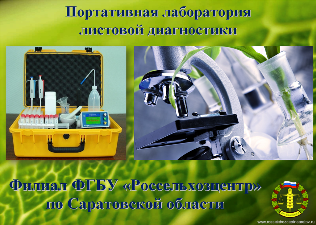 Функциональная диагностика растений Функциональная диагностика растений