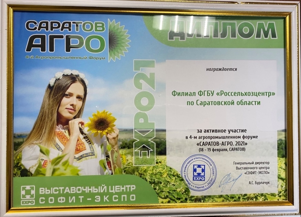 Новости филиала Новости филиала