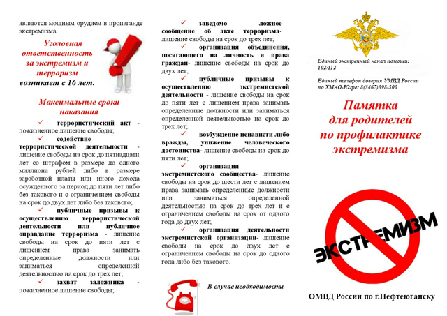 Профилактика экстремизма Профилактика экстремизма