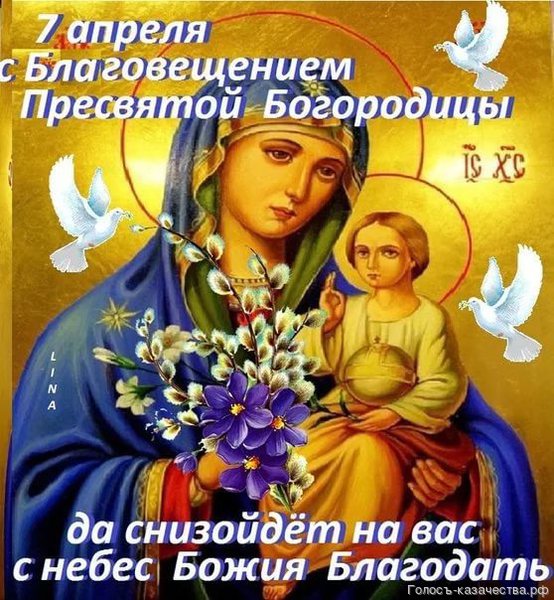 Примеры писем-поздравлений Президент Ирландии Википедия