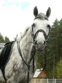 Источник: img-fotki.yandex.ru