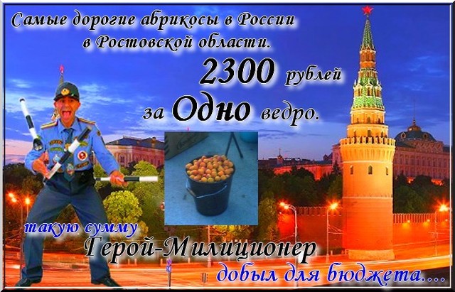 The most expensive(dear) apricots in the Rostov area. Or it is simple of a shame. The most expensive(dear) apricots in the Rostov area. Or it is simple of a shame.