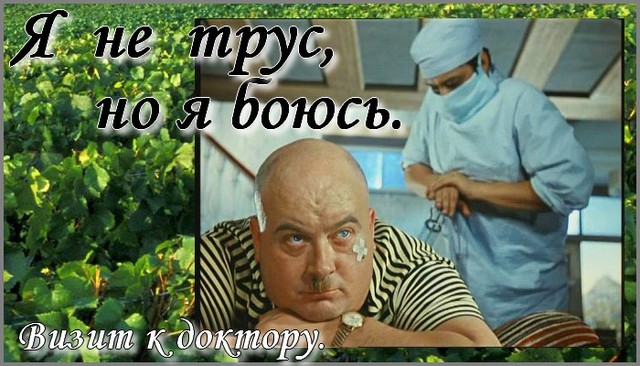 Я не трус, но я боюсь. Вынужденный визит к стоматологу Я не трус, но я боюсь. Вынужденный визит к стоматологу