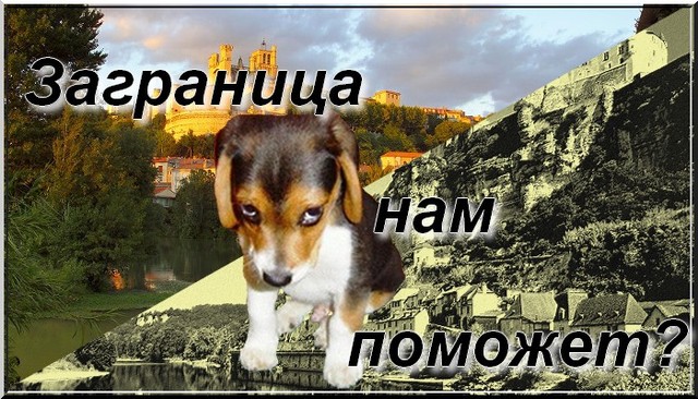 Заграница нам поможет? Будем ли мы жить лучше? Заграница нам поможет? Будем ли мы жить лучше?