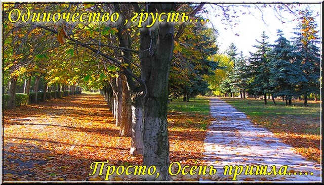 Нажмите чтобы открыть