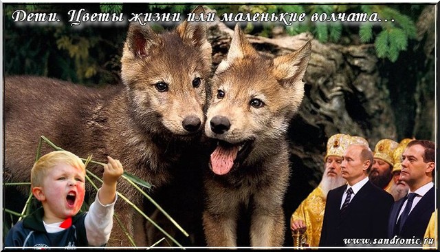 Дети. Цветы жизни или маленькие волчата… Дети. Цветы жизни или маленькие волчата…