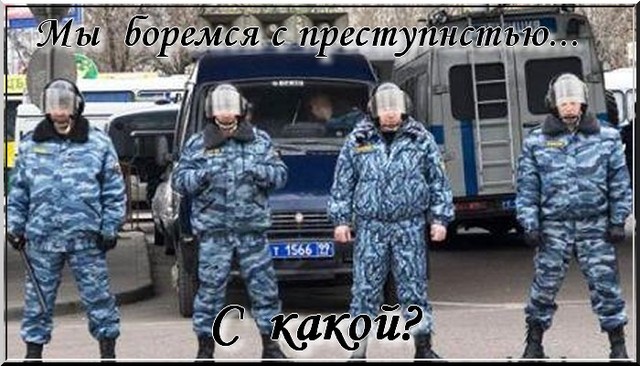Победили преступность на бытовом уровне Победили преступность на бытовом уровне
