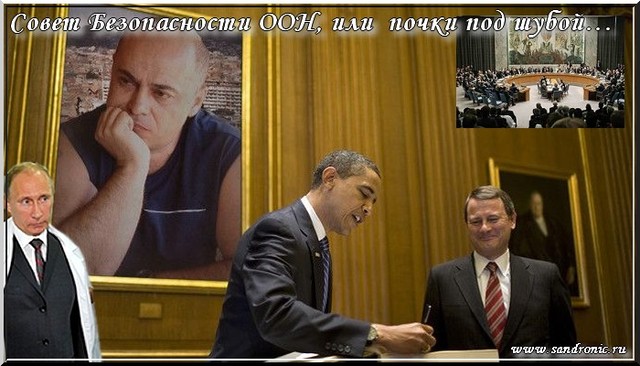 Совет Безопасности ООН, или почки под шубой… Совет Безопасности ООН, или почки под шубой…