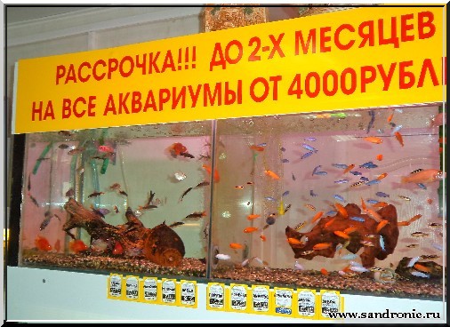 Магазин Экзотика В Курске Официальный Сайт