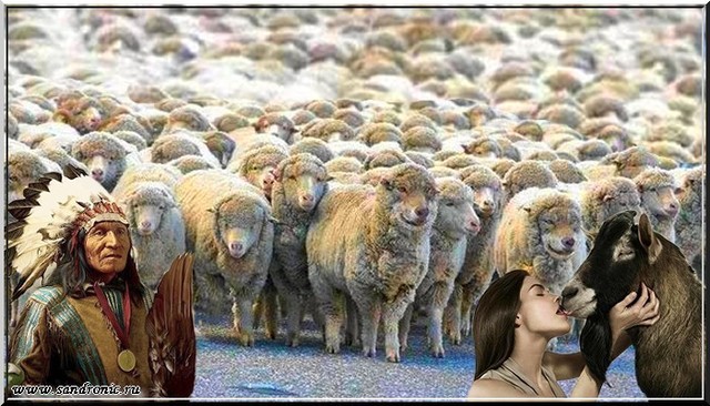 Оригинал изображения: www.sandronic.ru Political Correctness. Tolerance. Indifference or the last refuge of idiots and scoundrels.Part three.