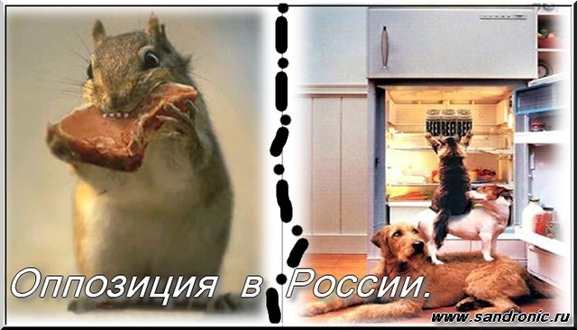 Opposition in Russia. The adults of a uncle are amused. Opposition in Russia. The adults of a uncle are amused.