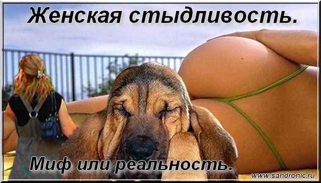 Женская стыдливость. Мифы и реальность Женская стыдливость. Мифы и реальность