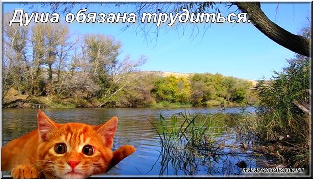 Душа обязана трудиться. Душа обязана трудиться.