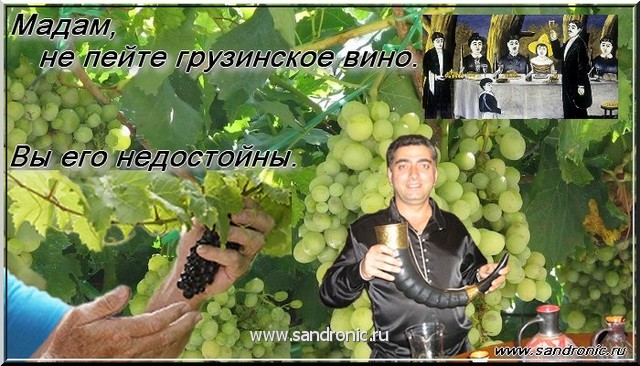 Madam, not пейте Georgian вино. You are unworthy it(him). Madam, not пейте Georgian вино. You are unworthy it(him).