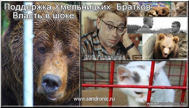 Поддержка Хмельницких Братков. Власть в шоке. Поддержка Хмельницких Братков. Власть в шоке.