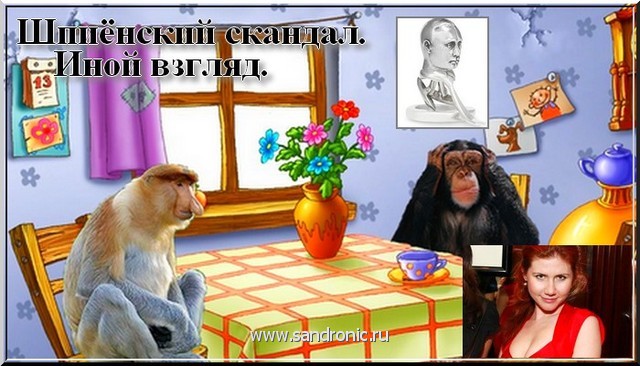 Шпиёнский скандал.Иной взгляд. Шпиёнский скандал.Иной взгляд.