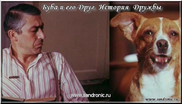 Буба и его Друг. История Дружбы Буба и его Друг. История Дружбы
