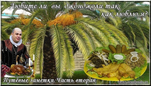 Путёвые заметки. Любите ли вы джонджоли так, как люблю я? Часть вторая Путёвые заметки. Любите ли вы джонджоли так, как люблю я? Часть вторая