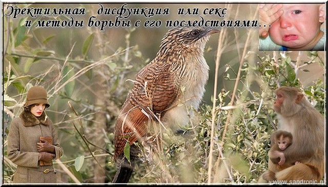 Нажмите чтобы открыть