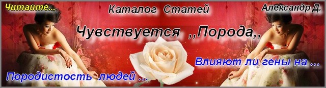 Нажмите чтобы открыть