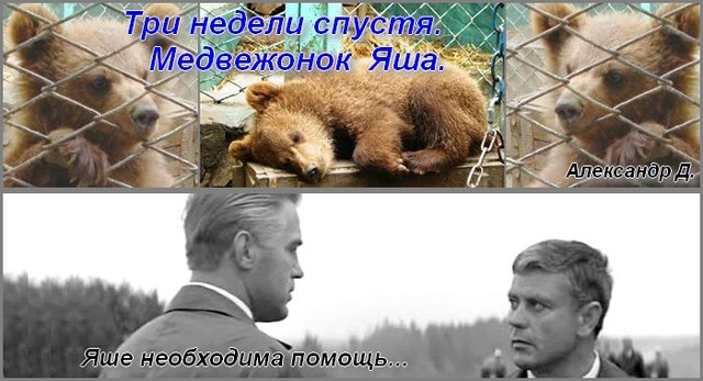 Нажмите чтобы открыть