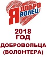 Открытие Года добровольца Открытие Года добровольца