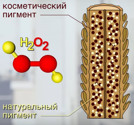 Фон осветления это что. Смотреть фото Фон осветления это что. Смотреть картинку Фон осветления это что. Картинка про Фон осветления это что. Фото Фон осветления это что
