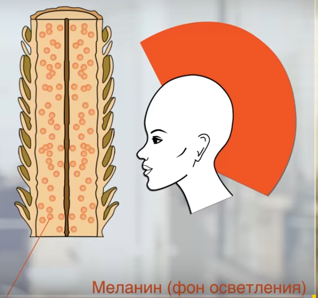 Фон осветления это что. Смотреть фото Фон осветления это что. Смотреть картинку Фон осветления это что. Картинка про Фон осветления это что. Фото Фон осветления это что
