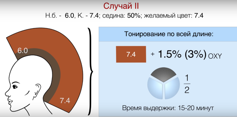 Колористика при осветлении волос Колористика при осветлении волос
