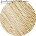 Goldwell Topchic 11PB - перламутрово-бежевый блонд
