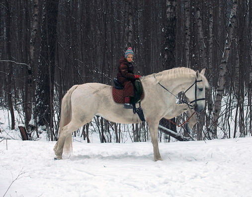 Прогулки в лесопарке Прогулки в лесопарке