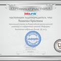Награды студентов за участие во Всероссийской дистанционной олимпиаде по информатике проекта 