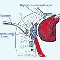 Интракраниальное распространение что это. Смотреть фото Интракраниальное распространение что это. Смотреть картинку Интракраниальное распространение что это. Картинка про Интракраниальное распространение что это. Фото Интракраниальное распространение что это