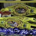 В СК Жастар проходит Кубок Мира по смешанным видам боевых искусств