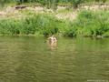 Сплав по реке Чумыш