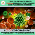 Удар по лимфоцитам: COVID вызывает длительные сбои работы иммунитета