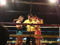 Правила соревнований по тайскому боксу 
