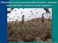 О проведении обследований и мероприятий по обработке сельхозугодий против саранчовых вредителей в муниципальных районах области