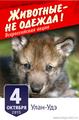 Защитники животных в Улан-Удэ поддержат пикетом Всероссийскую акцию «Животные — не одежда!»