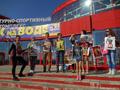 Защитники животных призывают жителей Бурятии бойкотировать цирк на воде