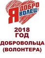 Открытие Года добровольца Открытие Года добровольца
