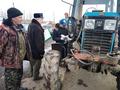 Областной конкурс профессионального мастерства среди обучающихся по специальностям «Механизация сельского хозяйства» и «Коммерция (по отраслям)» Областной конкурс профессионального мастерства среди обучающихся по специальностям «Механизация сельского хозяйства» и «Коммерция (по отраслям)»