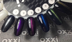 Прозрачный кошачий Гель лак Super cat eye (6 цветов) OXXI 8 мл. Прозрачный кошачий Гель лак Super cat eye (6 цветов) OXXI 8 мл.