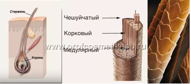 Что такое глубина тона. Смотреть фото Что такое глубина тона. Смотреть картинку Что такое глубина тона. Картинка про Что такое глубина тона. Фото Что такое глубина тона