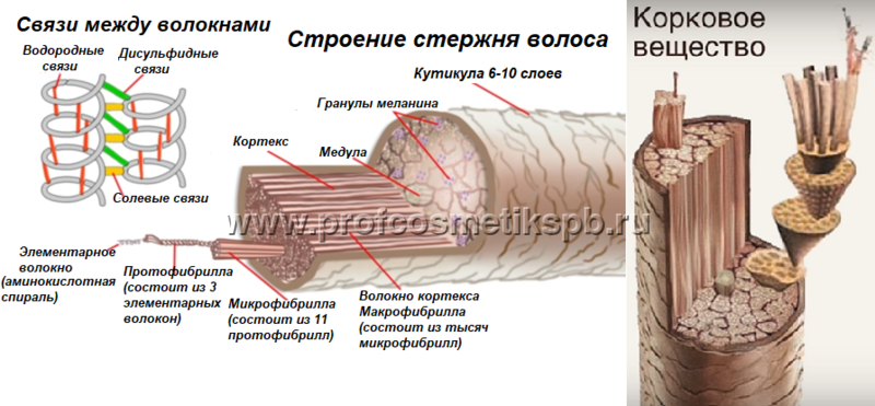 Что такое глубина тона. Смотреть фото Что такое глубина тона. Смотреть картинку Что такое глубина тона. Картинка про Что такое глубина тона. Фото Что такое глубина тона
