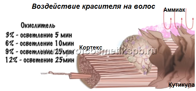 Что такое глубина тона. Смотреть фото Что такое глубина тона. Смотреть картинку Что такое глубина тона. Картинка про Что такое глубина тона. Фото Что такое глубина тона