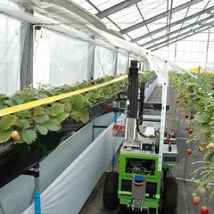 Автоматизация в сельском хозяйстве